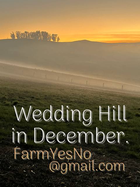email FarmYesNo@gmail.com for your Sonoma Wedding Venue.
